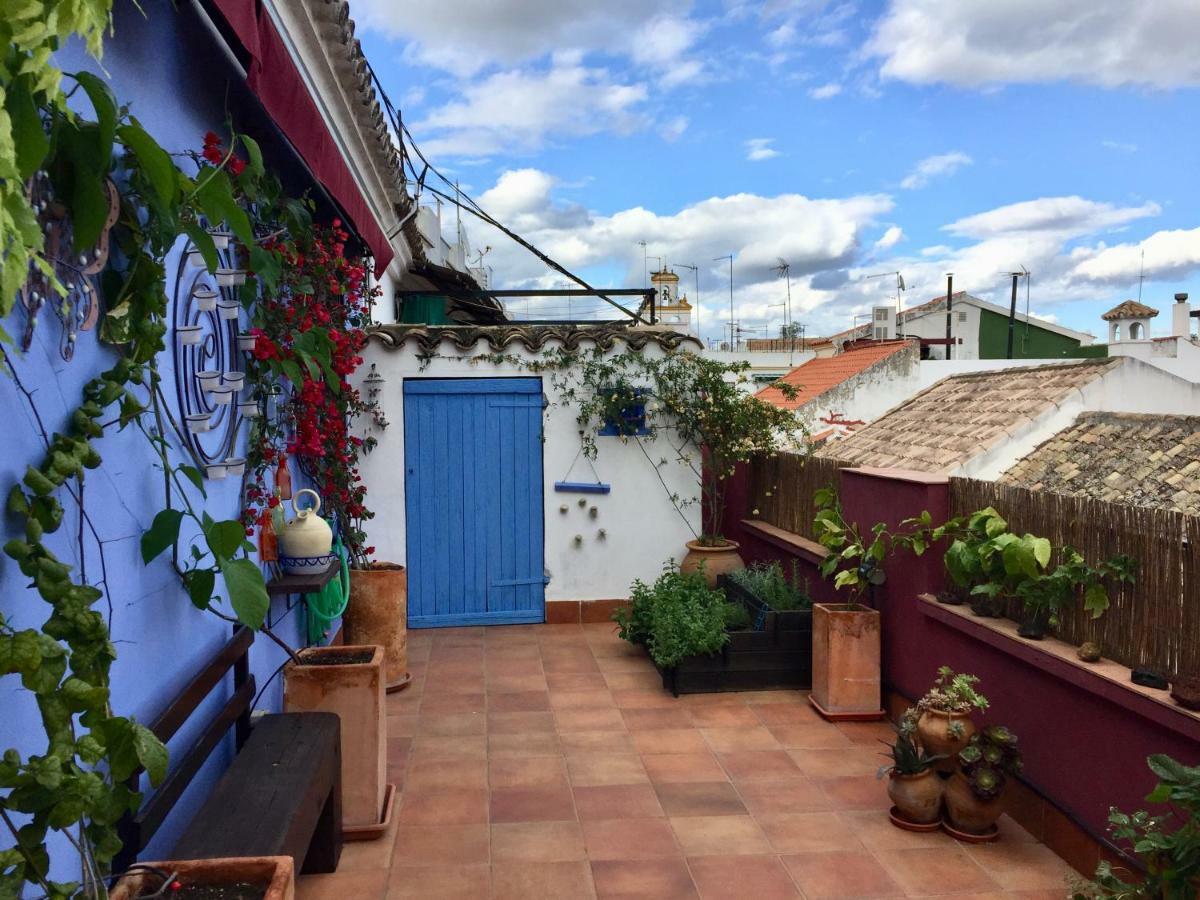 Atico Deluxe San Basilio Appartement Córdoba Buitenkant foto